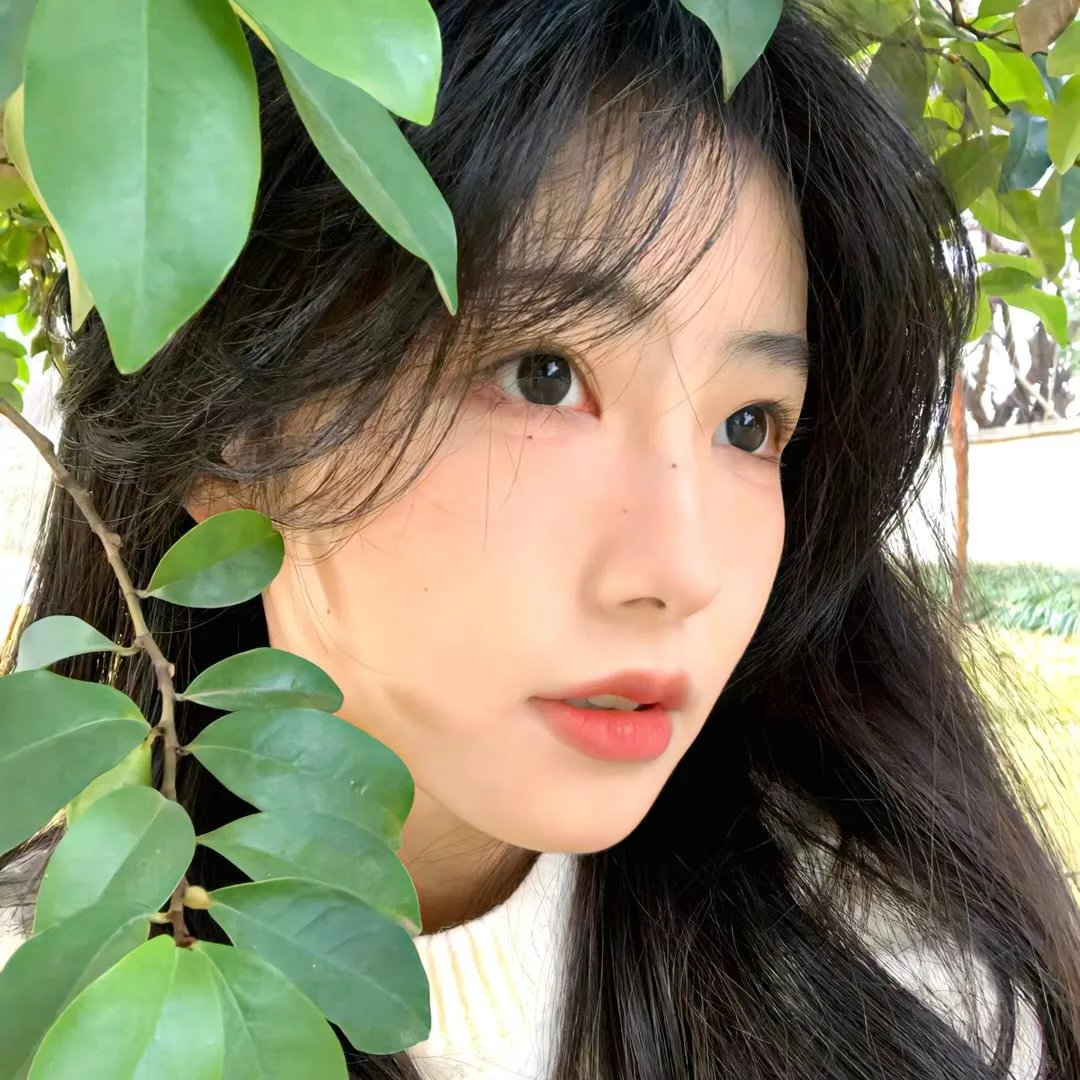 最强大脑第八季